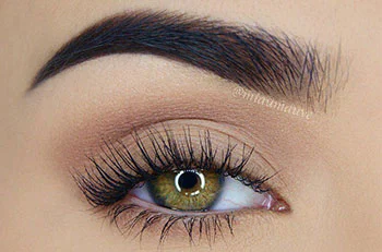 Ombre Brows- See the detail of Signature BROWS!